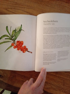 Wild Drinks book