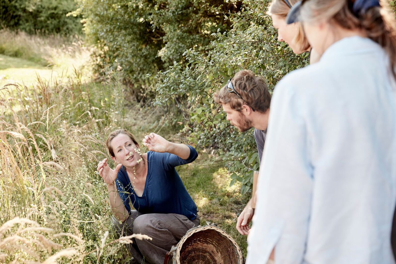 Full day foraging course Saturday 22nd August 2025